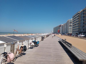 studio stad aan zee